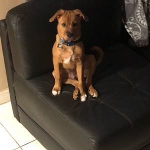 Meet your Posher, Paulina